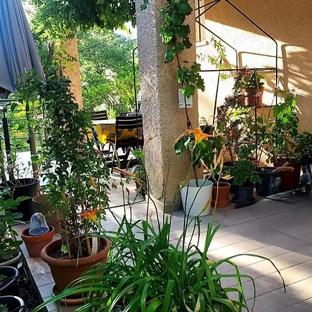 Entre Terrasses Et Restanque - Pierrevert